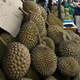 The International Durian Cultural Tourism Festival in Bentong, Malaysia.